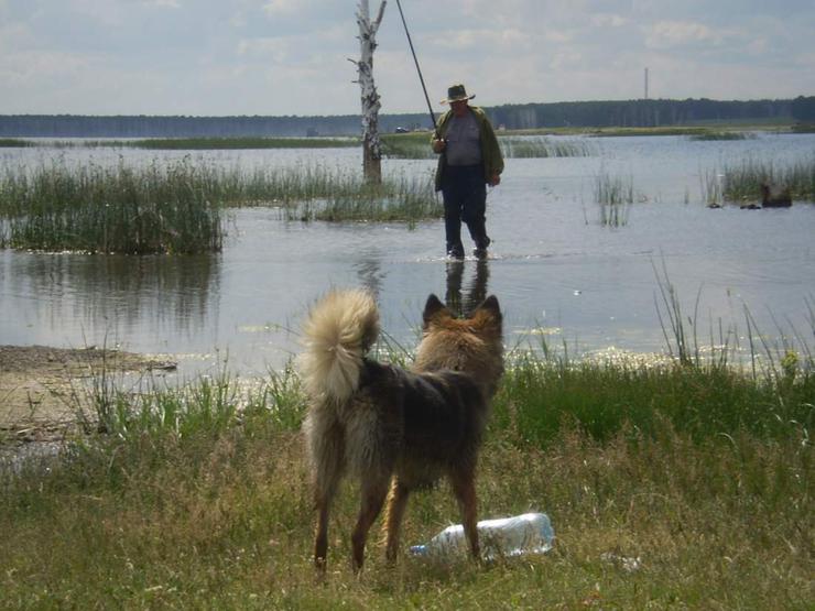 Рыбак с собакой на озере Чебакуль. Фото Ильи.