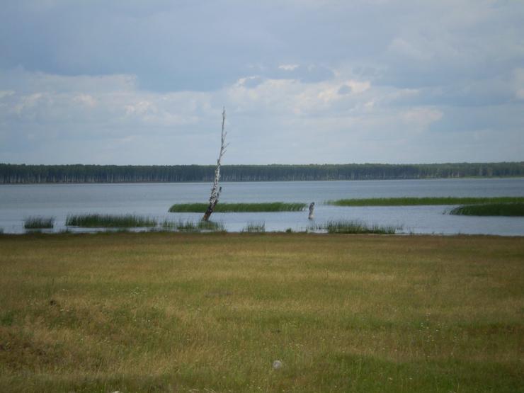 Вид на озеро Чебакуль. Фото Ильи.